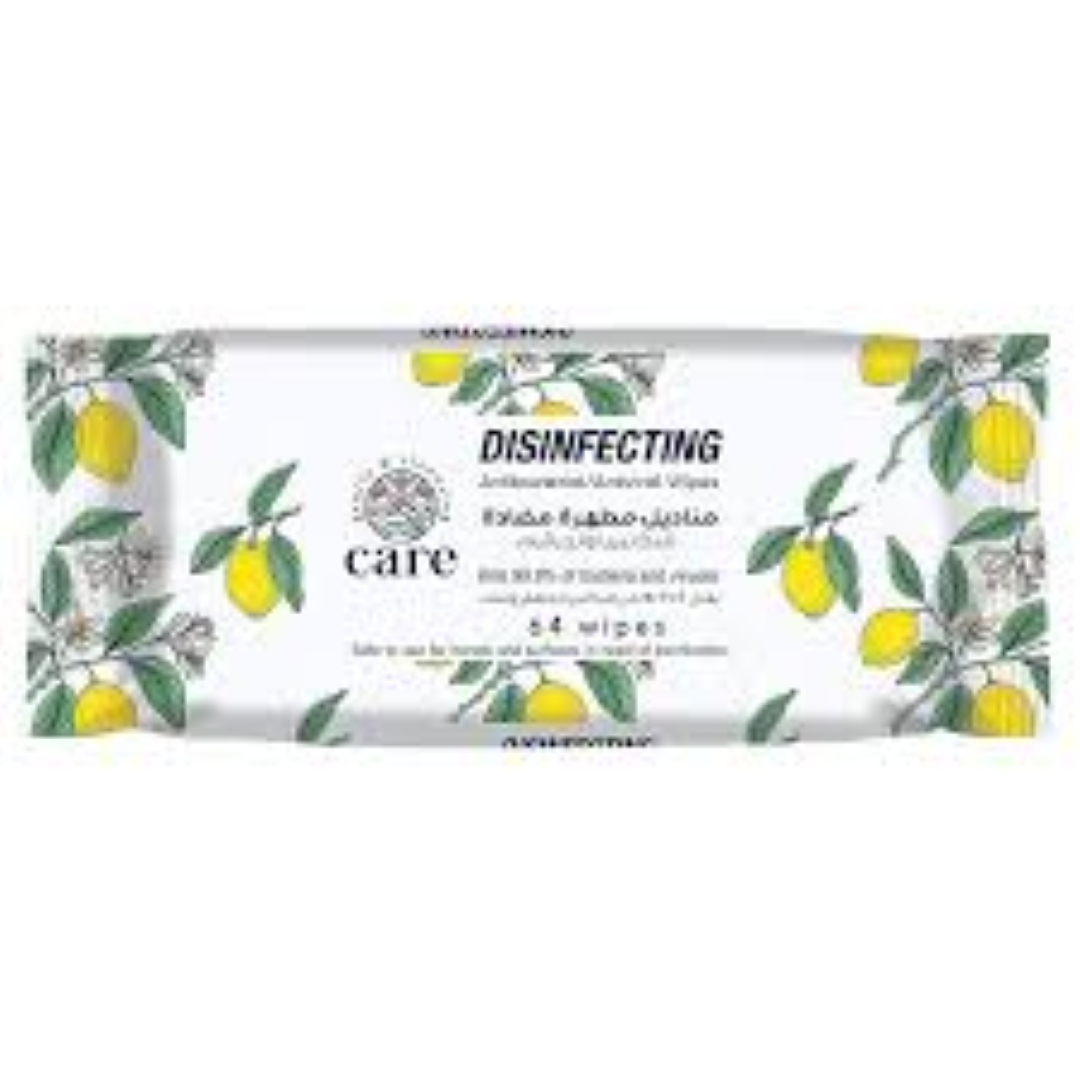 CARE+WET WIPES ANTIBACTERIAL 64'S